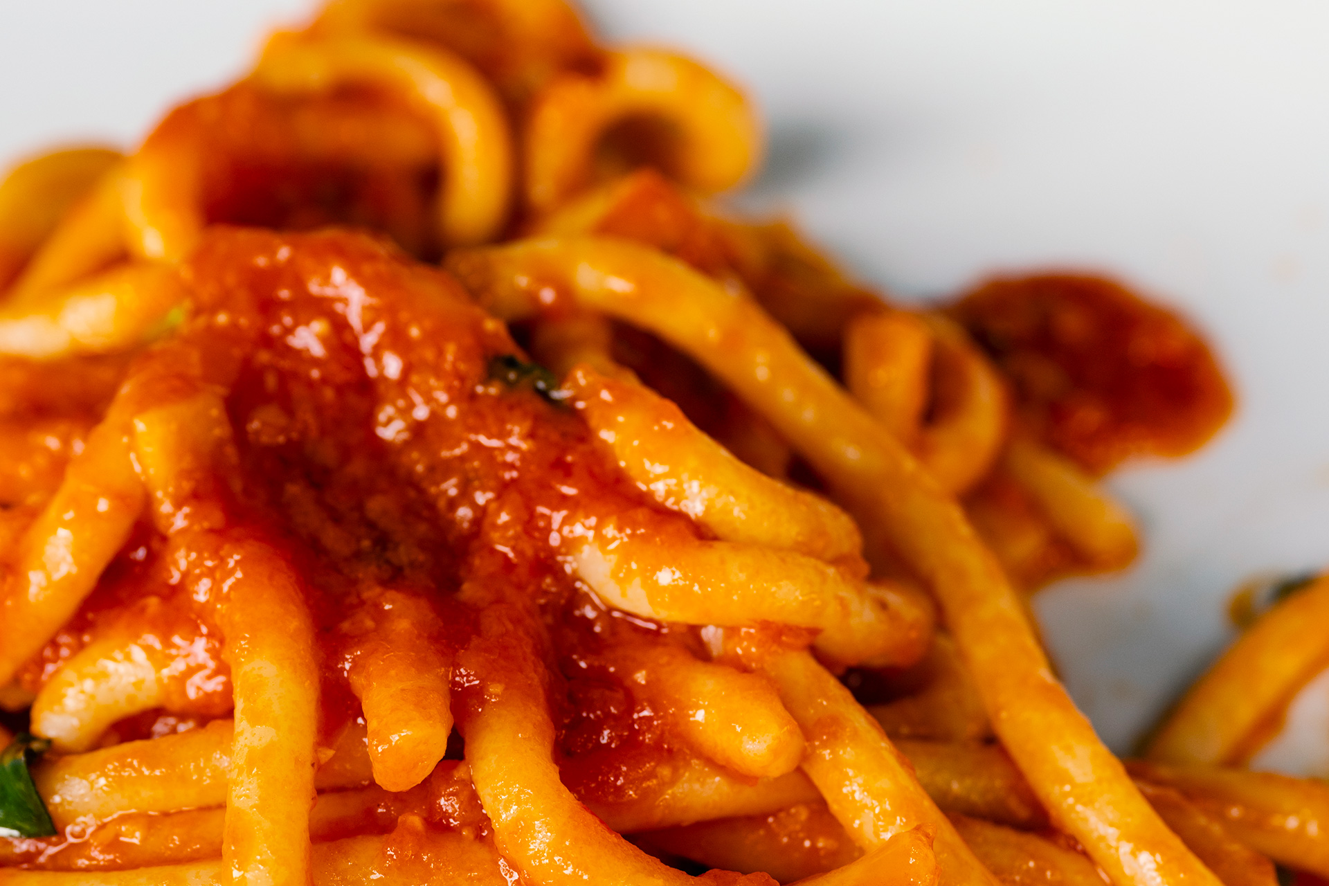 Pici all’aglione: ricetta ed abbinamento vino rosso
